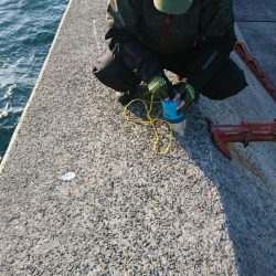 これはぶりじや