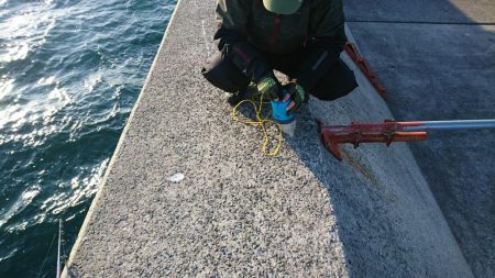 これはぶりじや