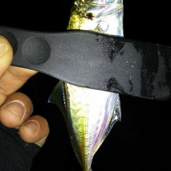 スローアジング