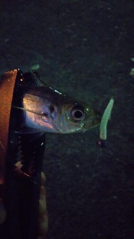 スーパームーンアジング