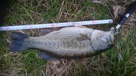 クリスマスイブですが