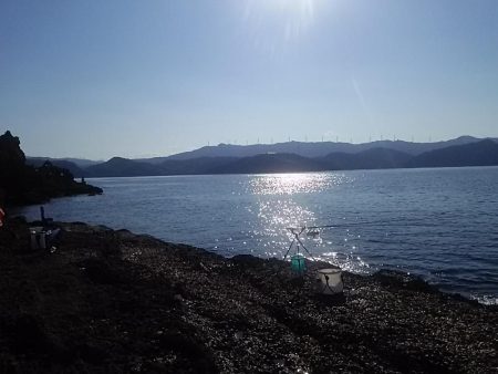 なぎ丸渡船でアオリ狙いがハマチGET