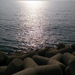 2017今年最後の播磨