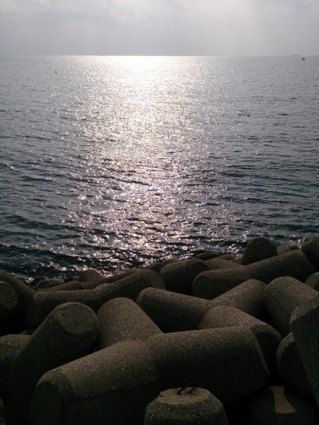 2017今年最後の播磨