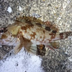 ちょっと仕事終わりに