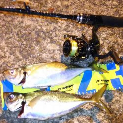 しつこいアジング！