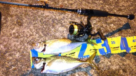 しつこいアジング！