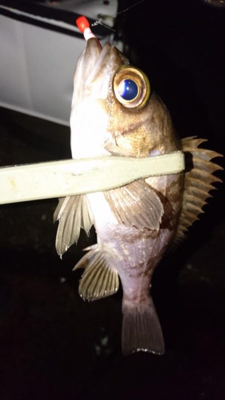 南蛮漬け(予定)