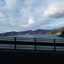 久しぶりのアジング