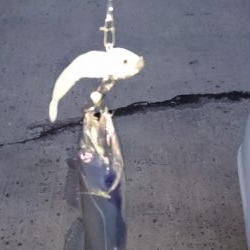 渋いながらも湾奥ならまだ釣れる