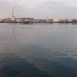 湾奥タチウオ完全復活!!