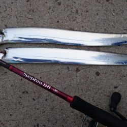 X\’masｲﾌﾞ タチウオ釣行