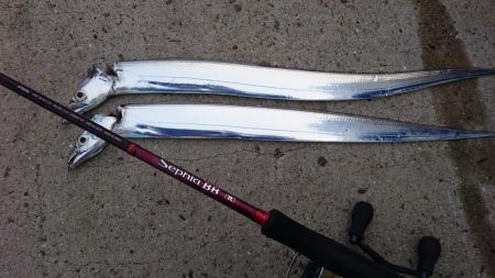 X\'masｲﾌﾞ タチウオ釣行…