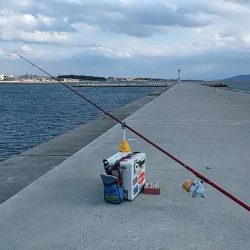 暴風の白灯台波止で落ちギス狙い