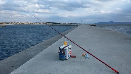 暴風の白灯台波止で落ちギス狙い