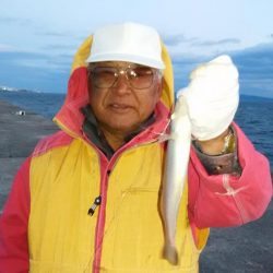 暴風の中で落ちギス狙い