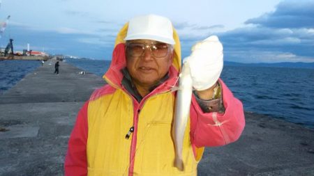 暴風の中で落ちギス狙い