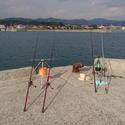 キス、カレイ釣り