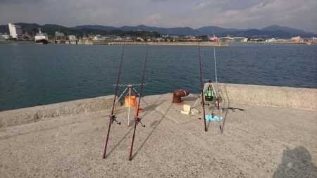 キス、カレイ釣り