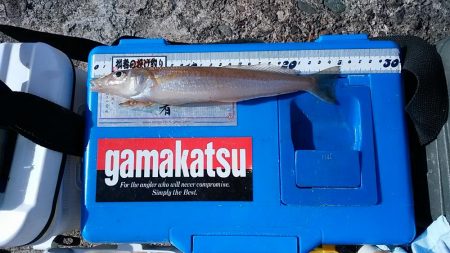 シーズン最終釣行で播磨新島へ