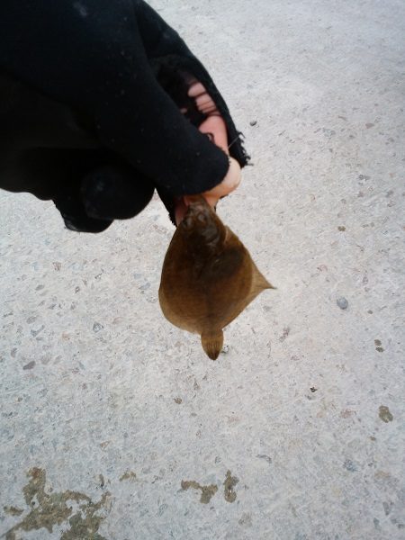 クラカケトラギス釣りに…