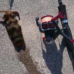 今年最後のェギング！