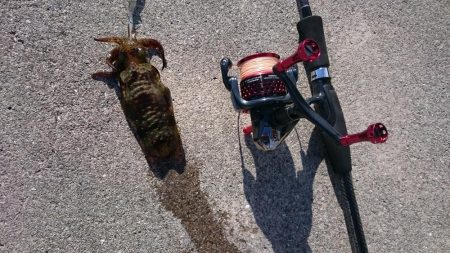 今年最後のェギング！