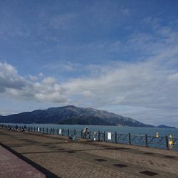 ナイトアジング