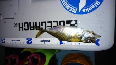 久しぶりのボートアジング