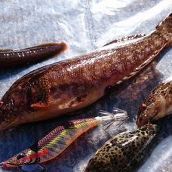 爆風の中、根魚狙い