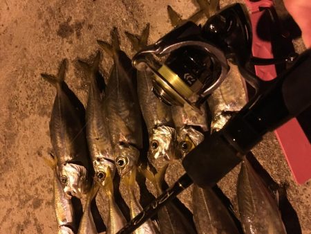 雪！風！雪！そして爆風！