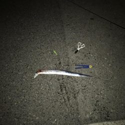 ホンマ、久しぶりですわ!