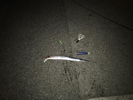 ホンマ、久しぶりですわ!