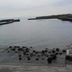 穴釣りランガン♪