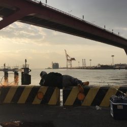 今年最後のノマセです