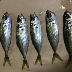 ライトゲーム岬