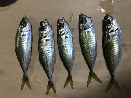 ライトゲーム岬