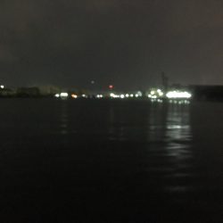 遠征帰りの太刀魚♫