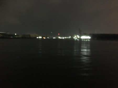 遠征帰りの太刀魚♫