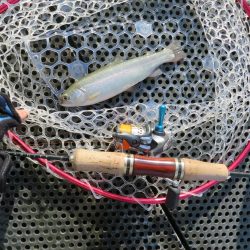 東山湖忘年釣行