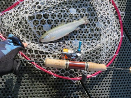 東山湖忘年釣行