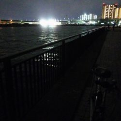 サビキでアジゲット