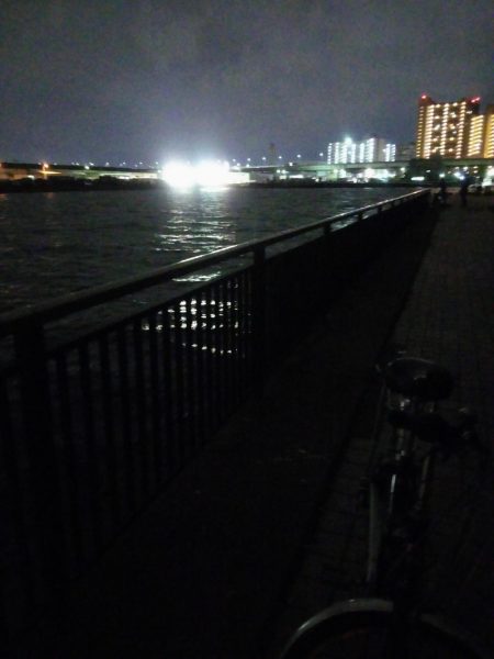 サビキでアジゲット