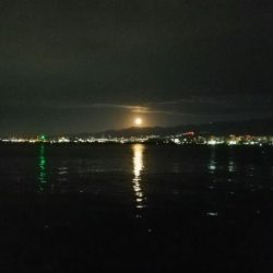 サイズダウンしてますが、アタリ多いです