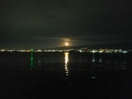 サイズダウンしてますが、アタリ多いです