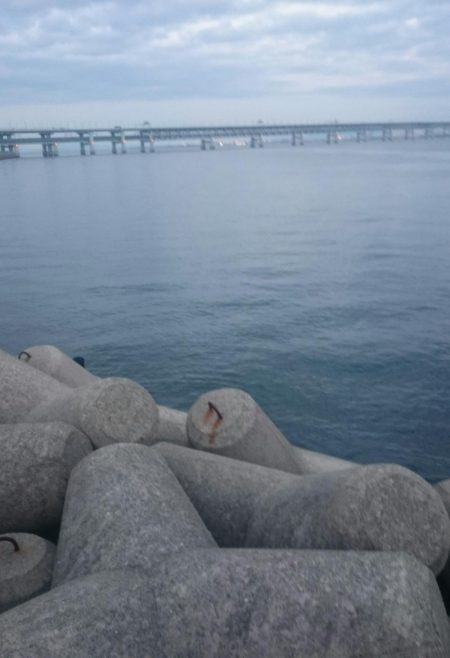 久々のハマチ！