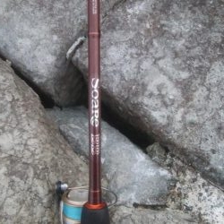 1年ぶりのメバーリング