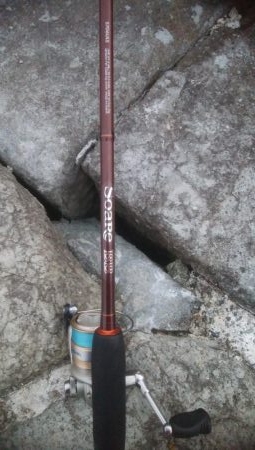 1年ぶりのメバーリング