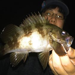 メバリング開幕!