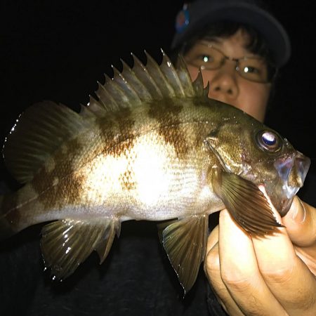 メバリング開幕!